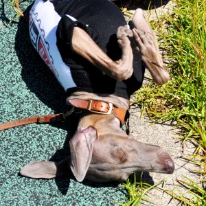 気持ちいいなぁ。