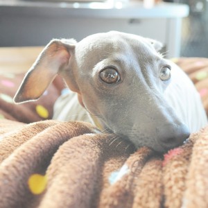 お腹空いたなぁ。