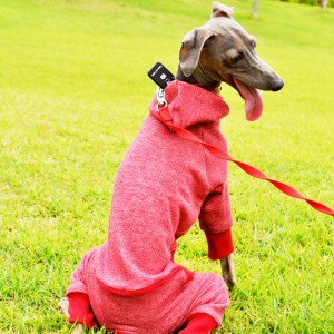 気持ちええわぁ。