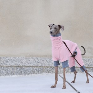 どこに散歩に行くの。