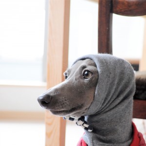 あったかいなあ。