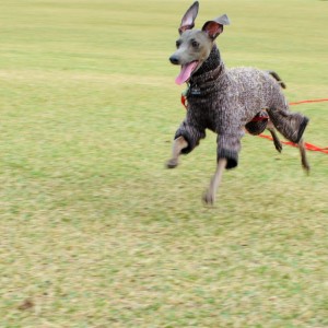 ボクの誕生日らしい。