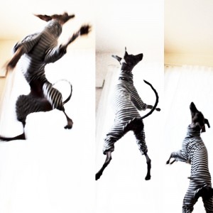 ジャンプ！！！