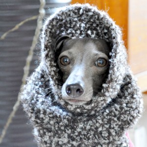 ふわふわ毛糸。