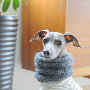 今日も元気に。