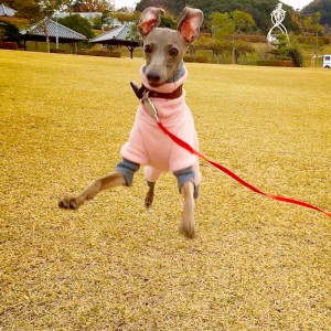 イタグレ｜よーいどん！！いくよー！！