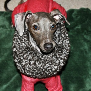 赤と緑でクリスマスか！？