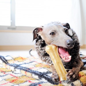 １５分の至福の時間