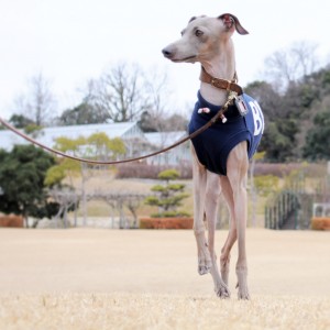 寒いよ〜でも、ぼく