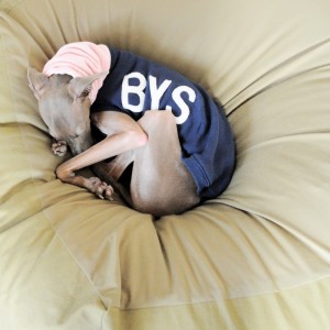 体力回復中だから！