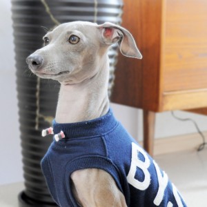 お腹すいたなぁ・・