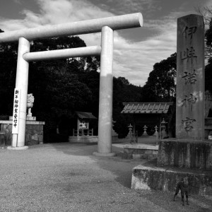 ボクはど〜こだぁ？