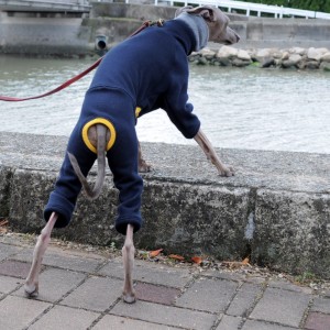 なんだか気になる？