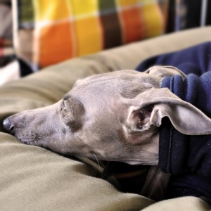 見つめる先には！？