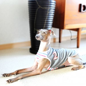 ママぁ〜服作って！