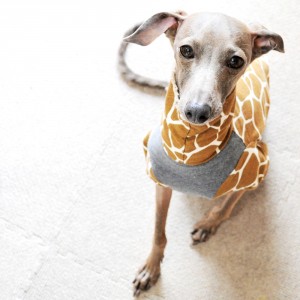 ボクはキリンなの？