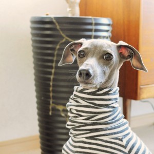 いっぱい、寝たよ！