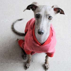 今日はどこいくの？