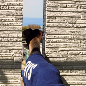 君の見つめる先には