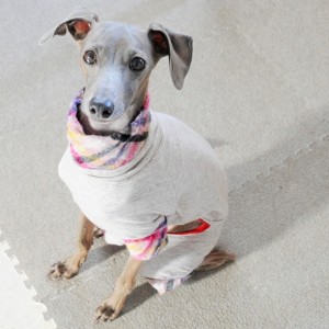 目ヤニついてるね。