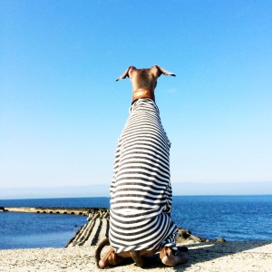 週末はここで釣りだね！