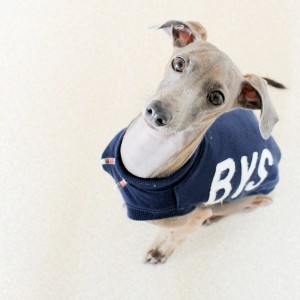 春が近づくと・・・