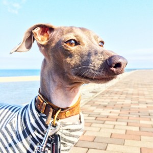 良い天気！最高〜！