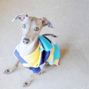 雨だよ・・。寝よ。