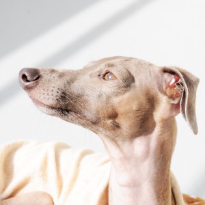 春の日差しを浴びて