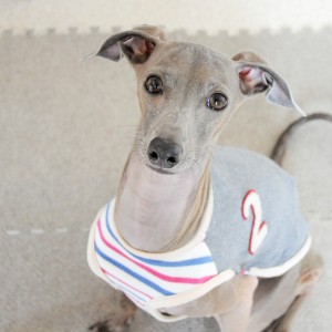 まだ〜ぁ、まだ〜あ