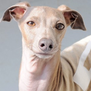 見つめる先には・・