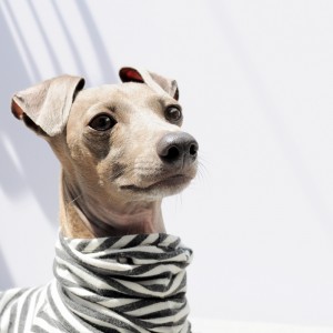 見つめる先には・・