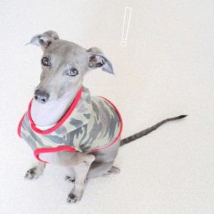 どこいこ♪どこいこ♪