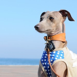 朝の海。心地いい風