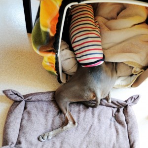 そこで何してるの？