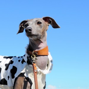 台風がやってくる？