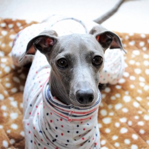 おなかきゅるきゅる