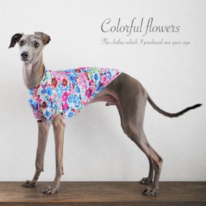 ちんちくりんな服♡