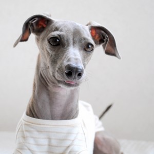 ぺっ！ぺっ！ぺっ！