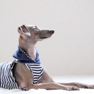 雨の日の過ごし方。