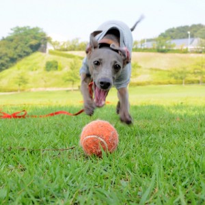 大好きなもの２つ！