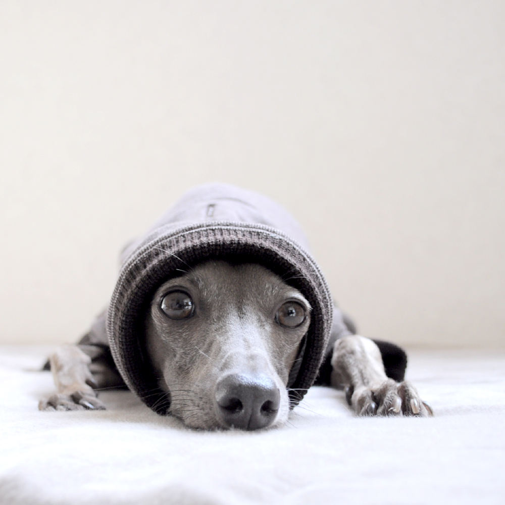 くりぼー！の作り方