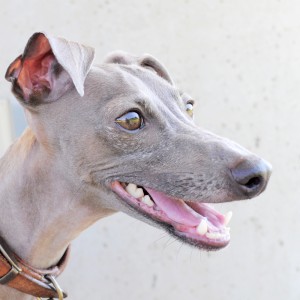 散歩途中の休憩です