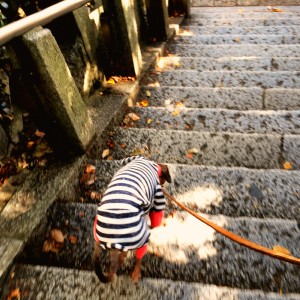 階段を駆け下りる！