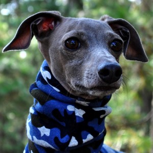 蒼い真っすぐな瞳。