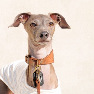 ちょっと、そこまで