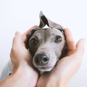 とっても小っちゃい