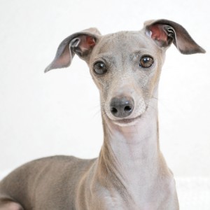 今日も元気におはよ