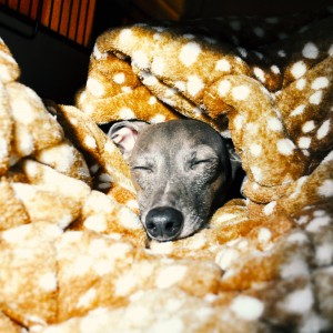 朝ご飯食べて、寝る