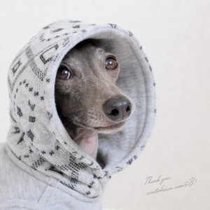 はじめてのお洋服？